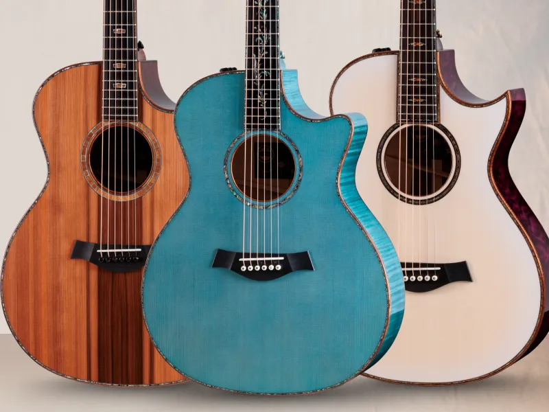 Taylor Guitars | ギターとアクセサリーを買う